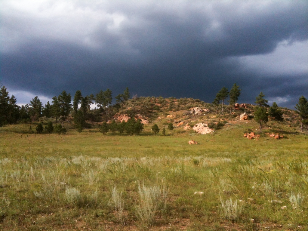 Road trip across America photograph. This road went nowwhere but I was fascinated to find out where it would go.