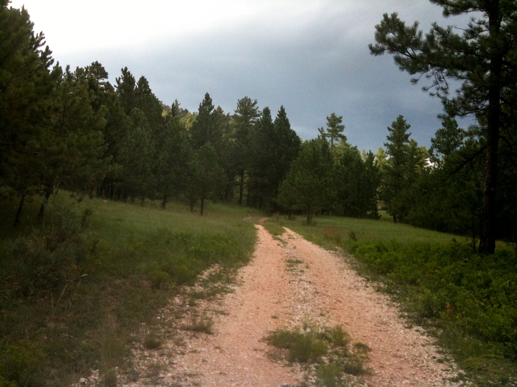 Road trip across America photograph. I had all-wheel drive so I didn't mind a little adventure. This road eventually led to nowhere. It was fun getting there.