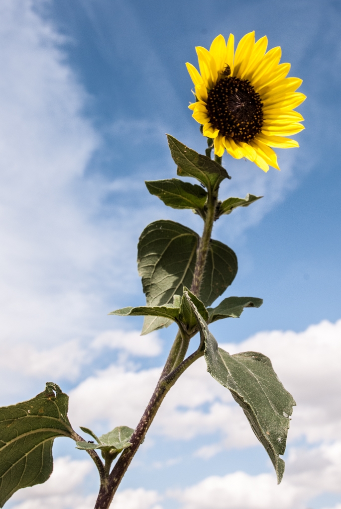 Badlands National Park, South Dakota photograph. 