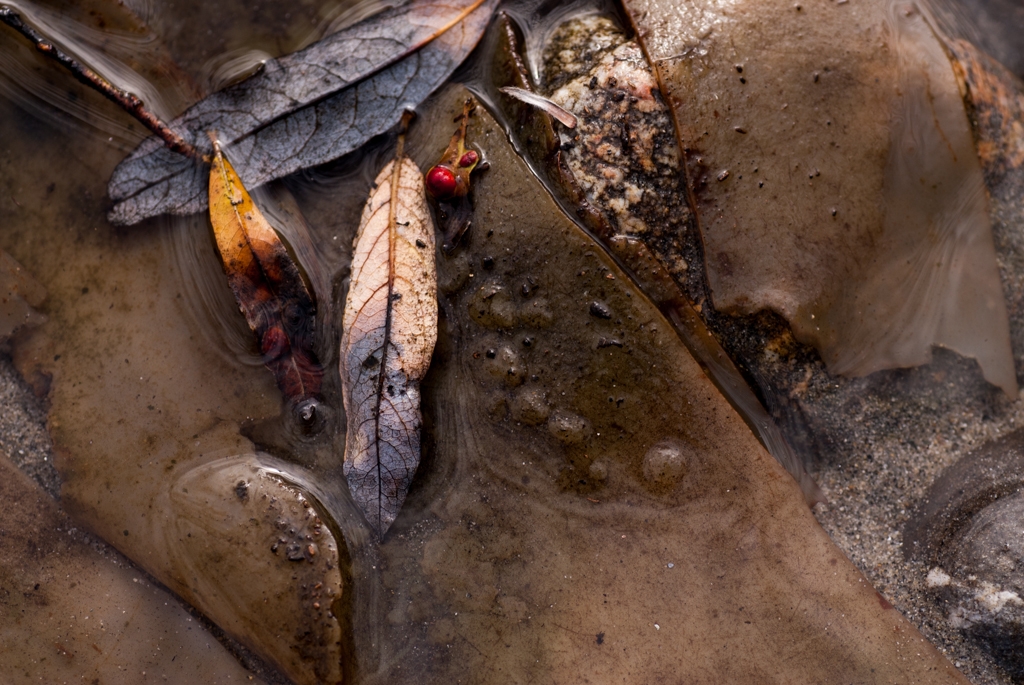 Big Sur, California photograph. 