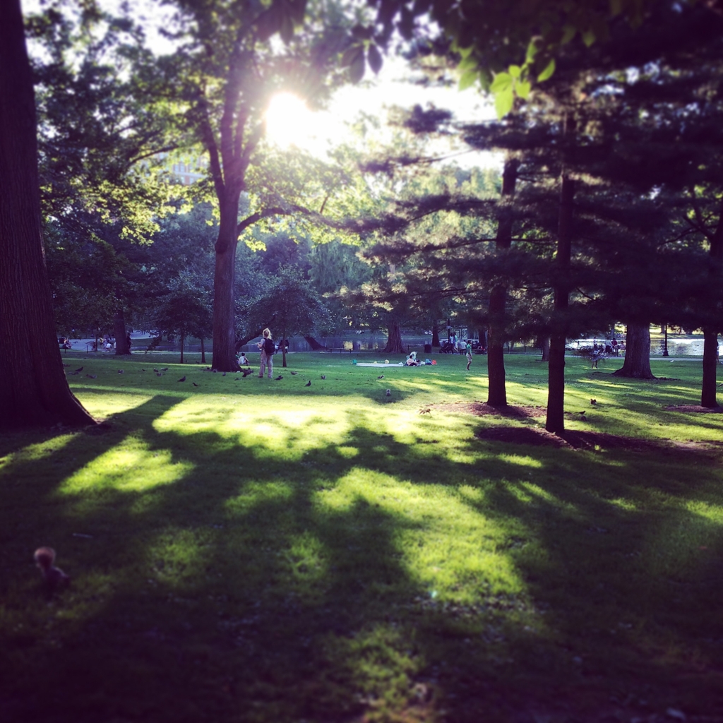 Boston, Massachusetts photograph. 