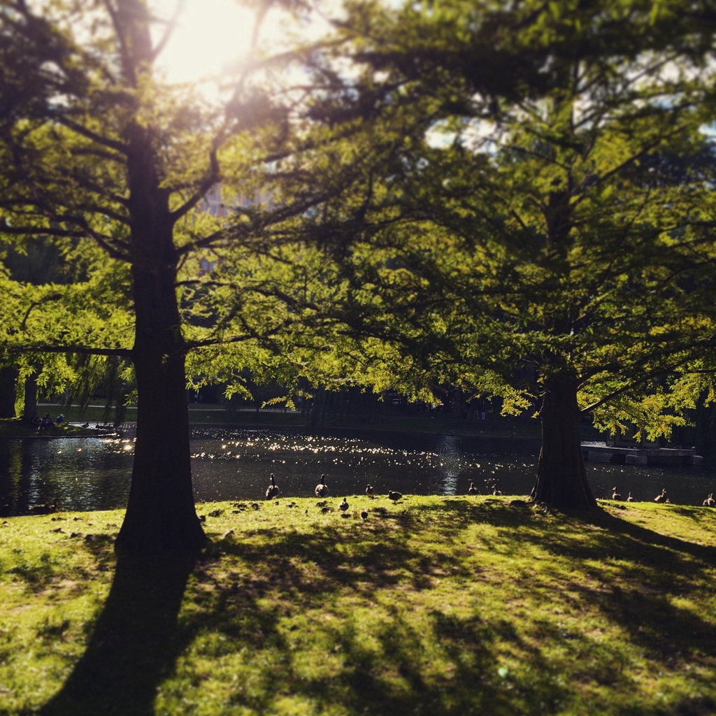 Boston, Massachusetts photograph. 