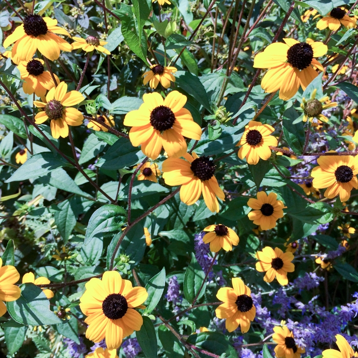 Boston, Massachusetts photograph. 