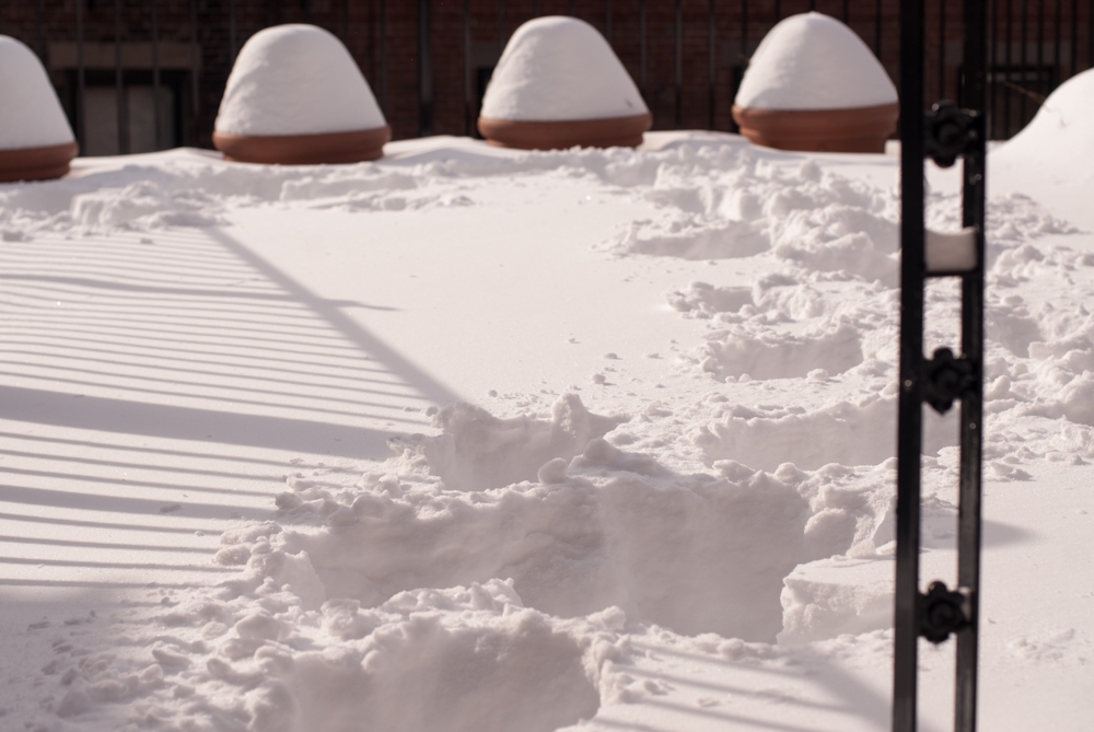 Boston, Massachusetts photograph. 