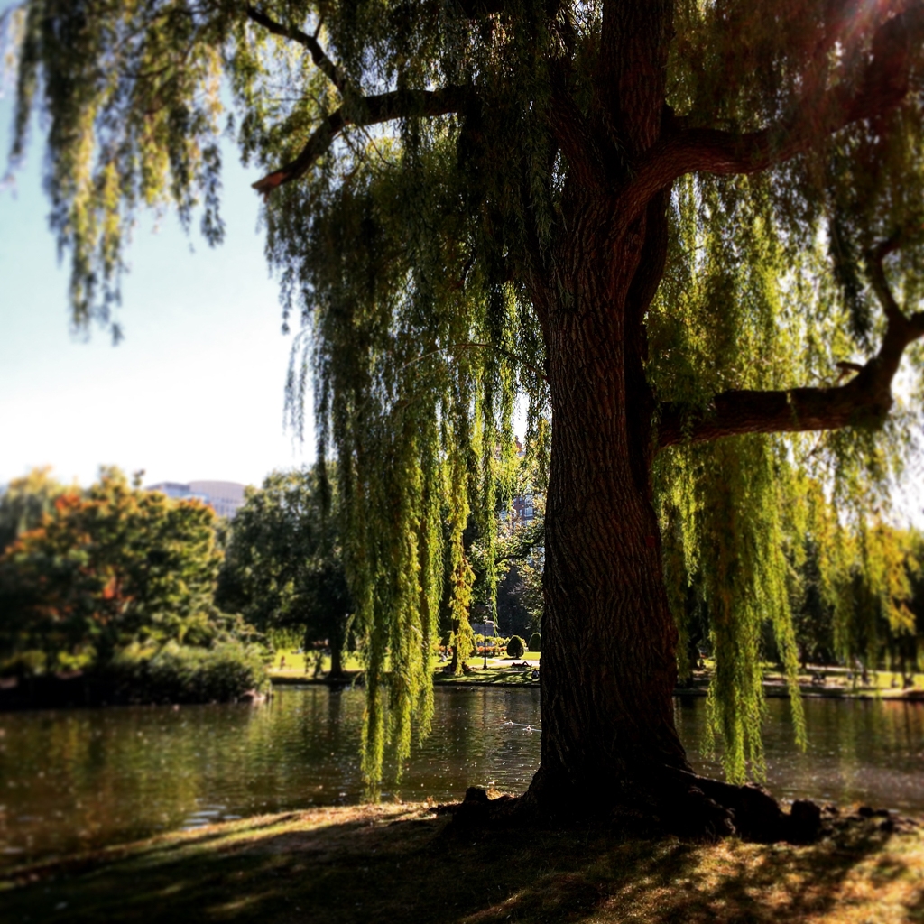 Boston, Massachusetts photograph. Instagram photo
