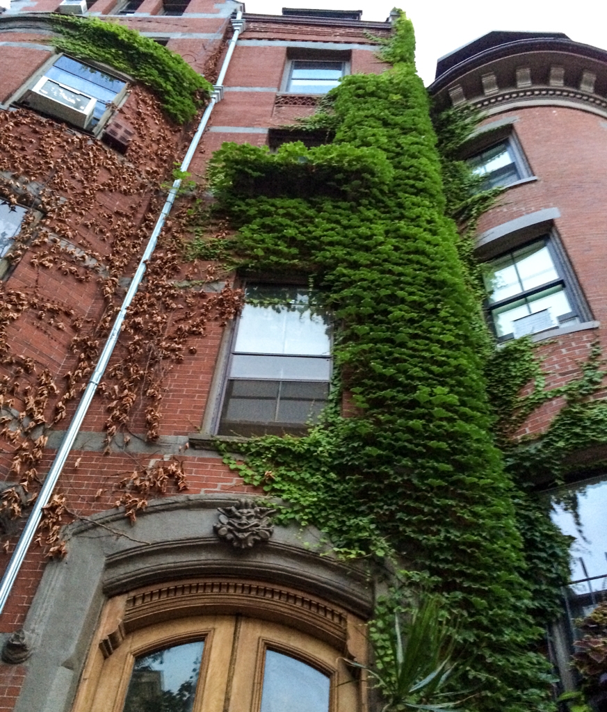 Boston, Massachusetts photograph. 