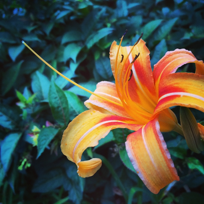 Boston, Massachusetts photograph. 