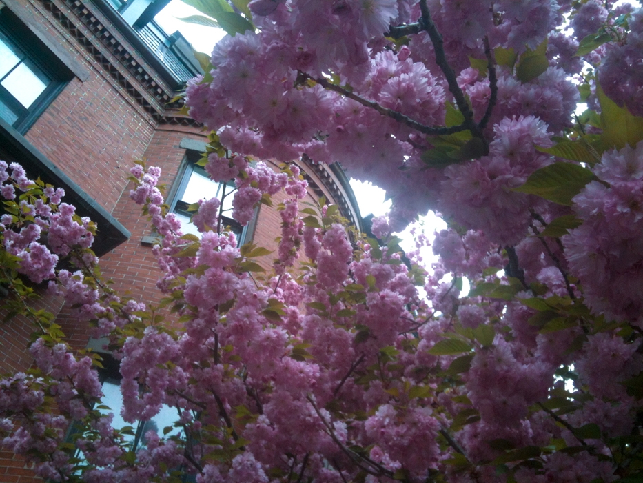 Boston, Massachusetts photograph. 