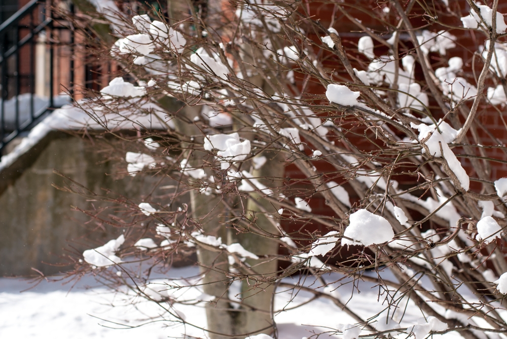 Boston, Massachusetts photograph. 