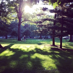 Sunset at Boston Commons