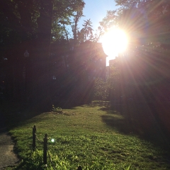 Bright sunset at Boston Commons