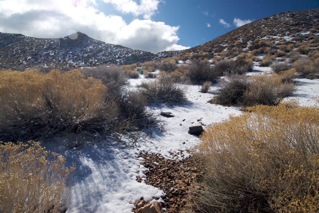 Death Valley, California photograph. 