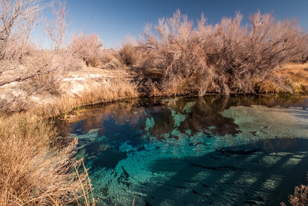 Death Valley, California photograph. The Ash Meadows National Wildlife Refuge is a protected wildlife refuge in southwestern Nevada directly east of Death Valley. When I visited in the summer of 2011, there was nobody in the park except for a couple of park rangers who were more than happy to tell me all about the special blue ponds and the rare fish they contained. Ash Meadows is a haven for rare plants and animals. These ponds harbor ancient species of fish such as the rare Amargosa pupfish and form the last remaining oasis in the Mojave Desert.