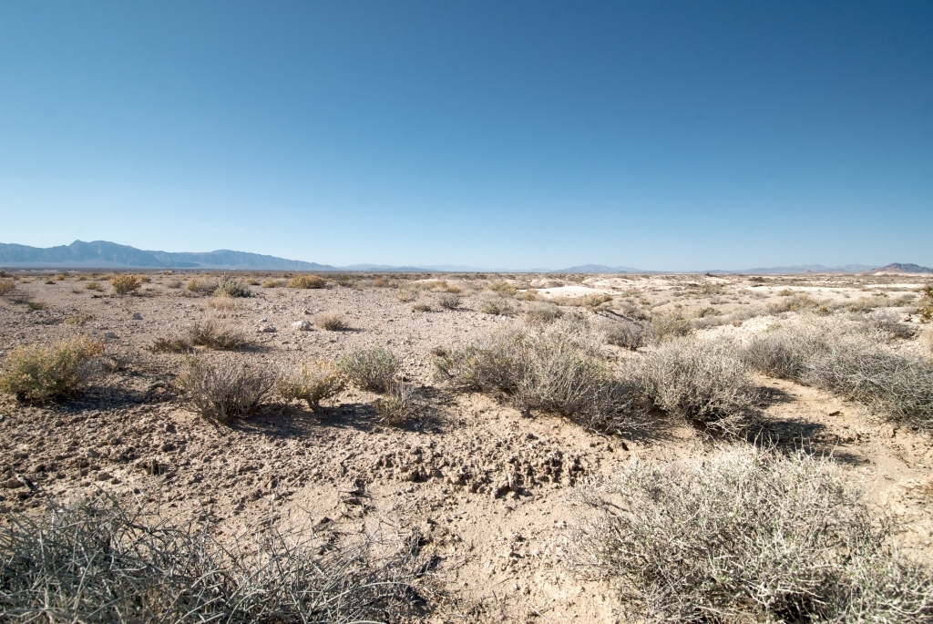 Death Valley, California photograph. Ash Meadows looked scruffy and dusty and a bit like the surface of Mars. It was completely empty of visitors when I visited in the summer.