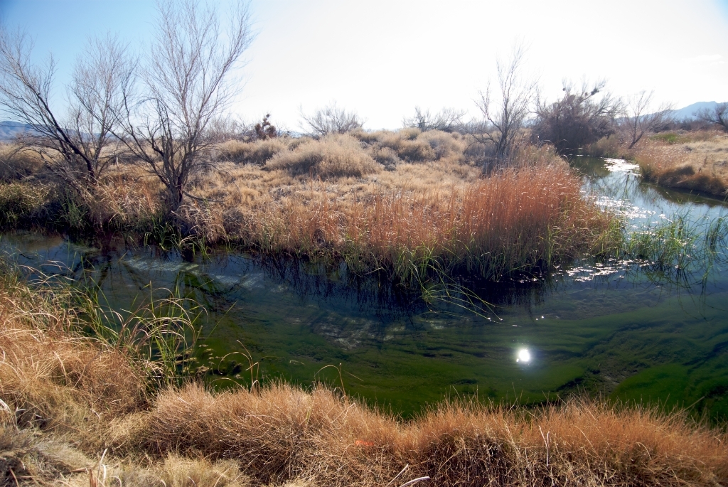 Death Valley, California photograph. 