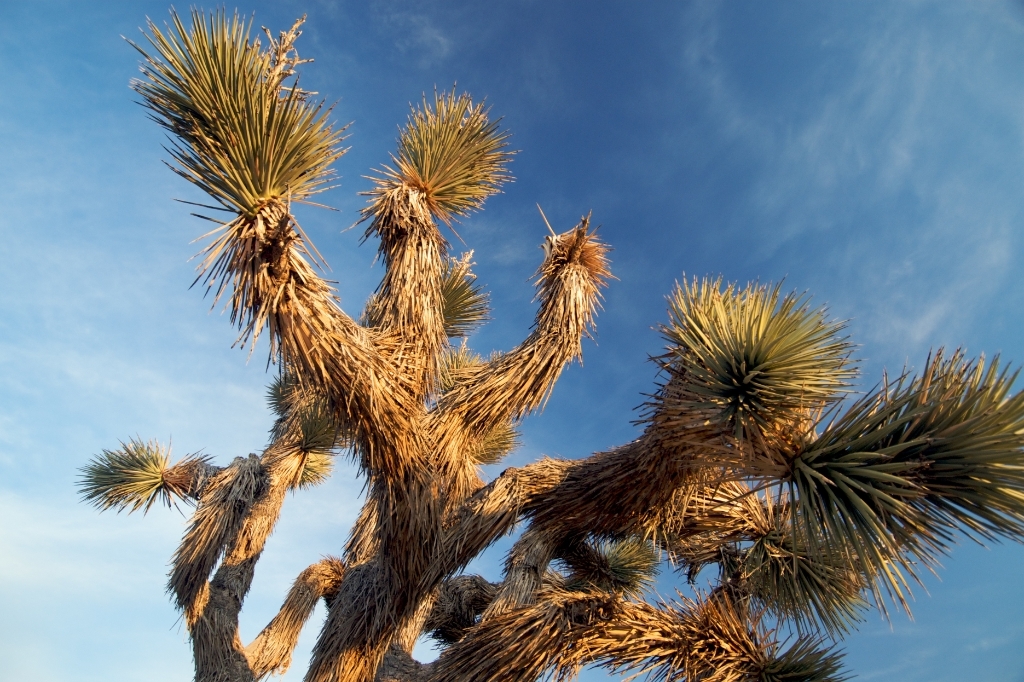 Death Valley, California photograph. 