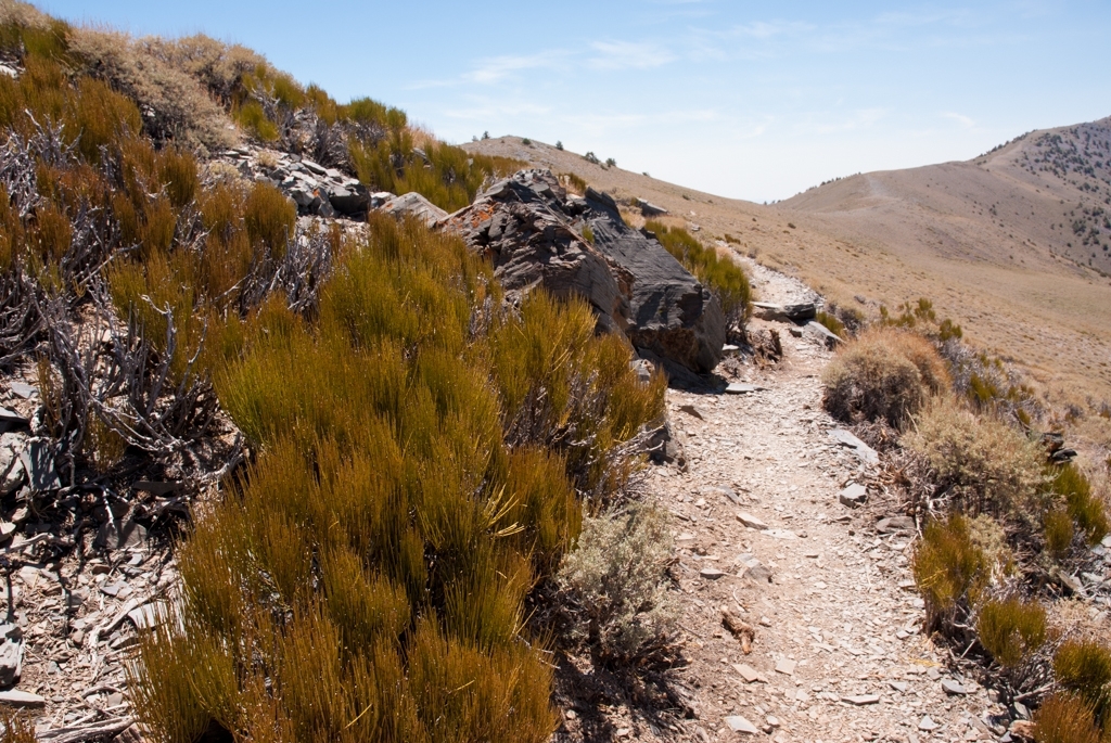 Death Valley, California photograph. Telescope Peak, Death Valley (elevation 14,000 feet). A good hard hike if you want to get to someplace cool. In July it was around 50-60 degrees at this elevation.