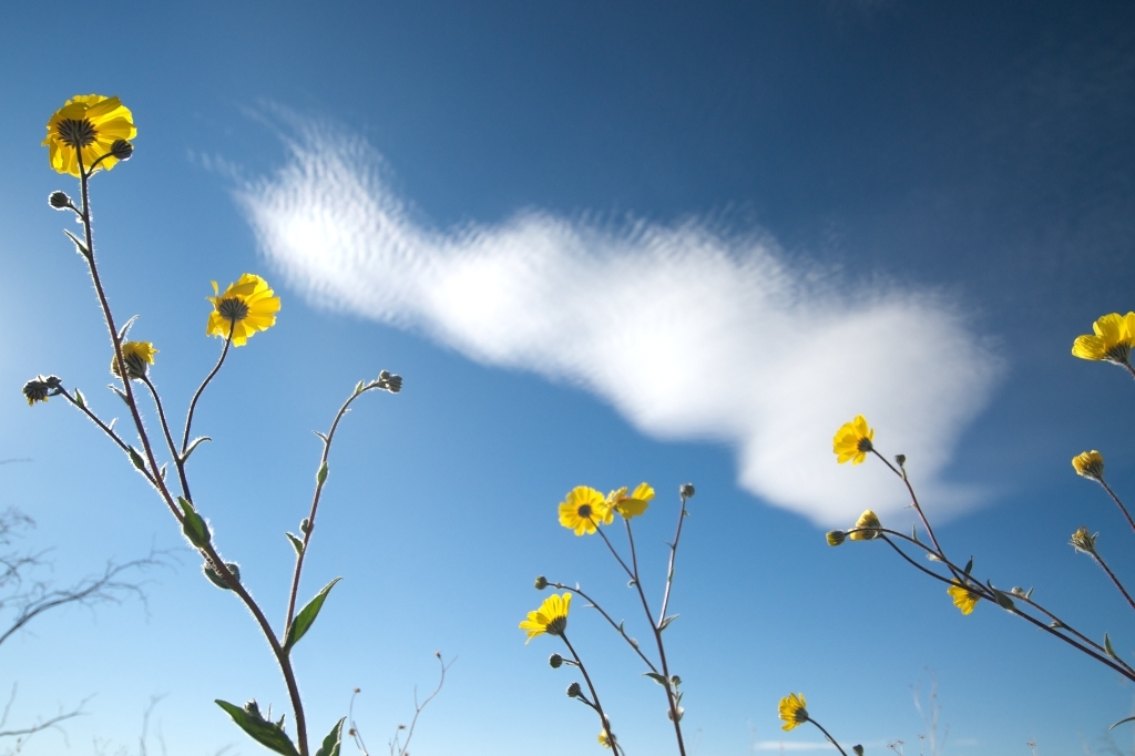Death Valley, California photograph. 