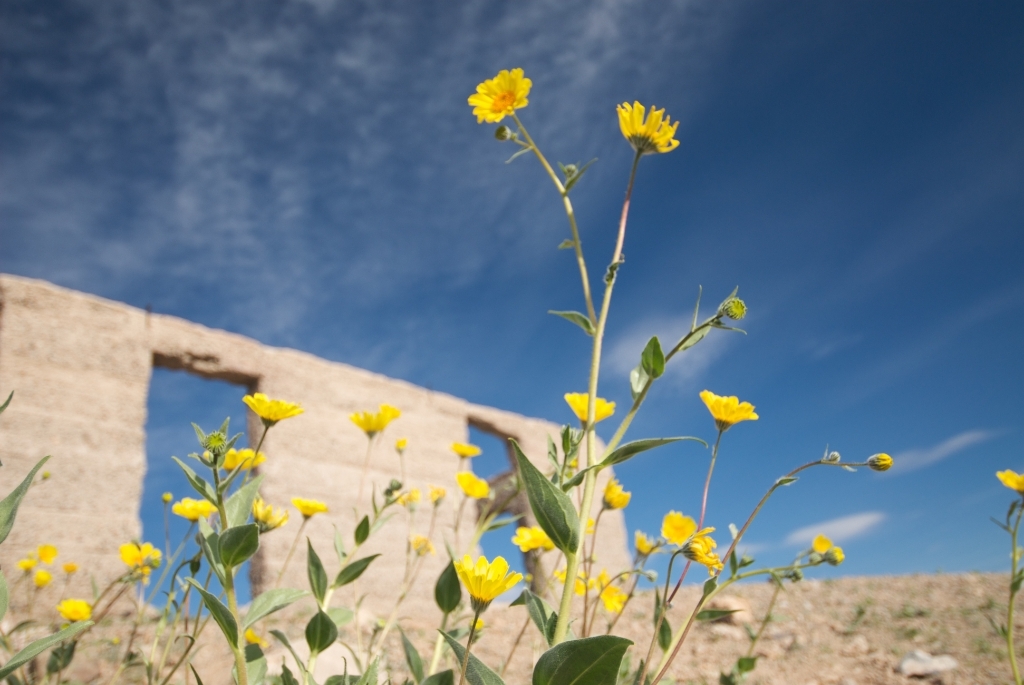 Death Valley, California photograph. 