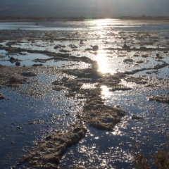 Badwater reflections