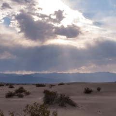 Big sky over sand dunes