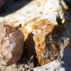 Rocks near Ashford Junction