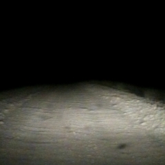 Road near Teakettle Junction