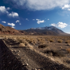 Road to Devil's Racetrack