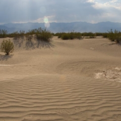 Sand dunes under big sky