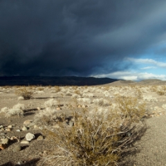 Storm and sunshine