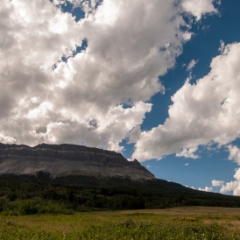 Fluffy clouds over the meadow