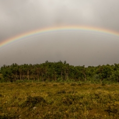 Full rainbow