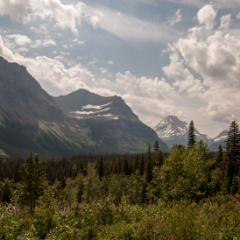 Mountain scenery on going-to-the-sun road