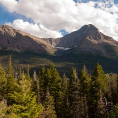 Trees and mountains