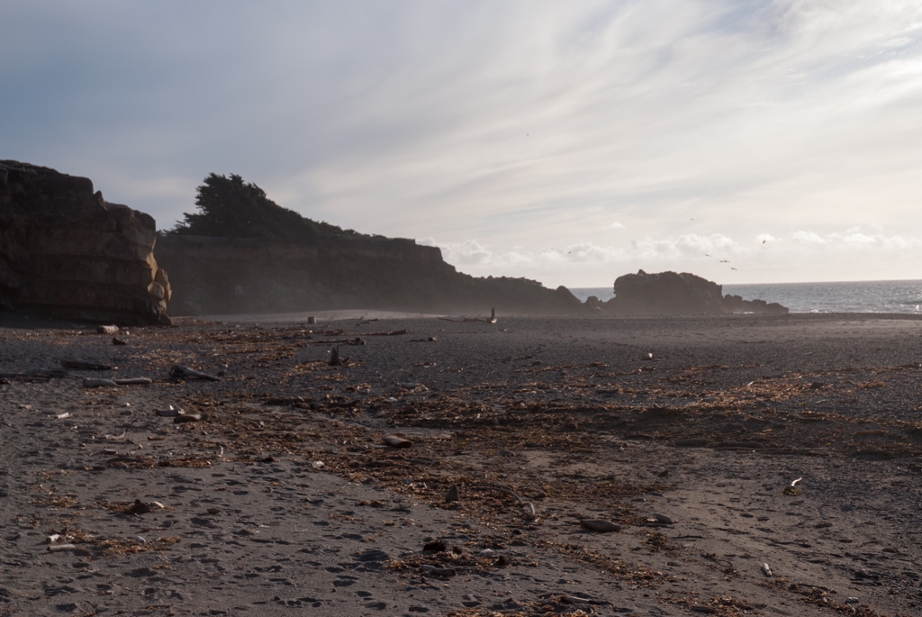 Gualala, California photograph. 