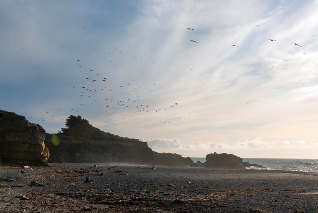 Gualala, California photograph. 