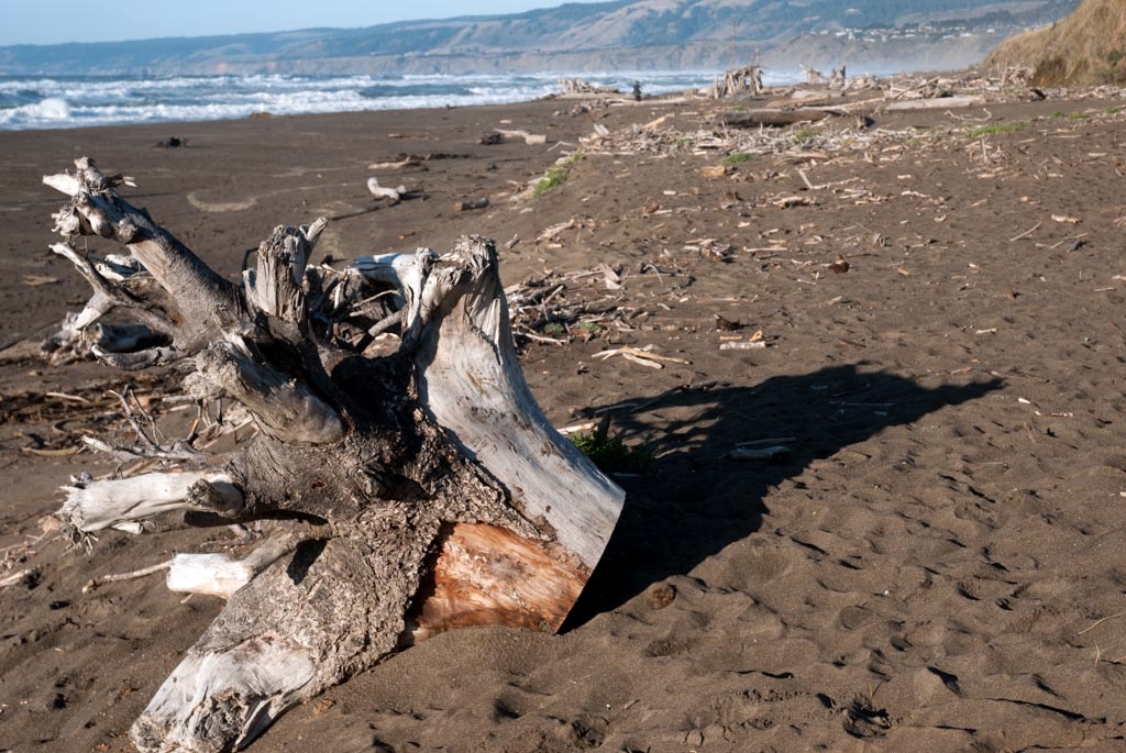 Gualala, California photograph. 