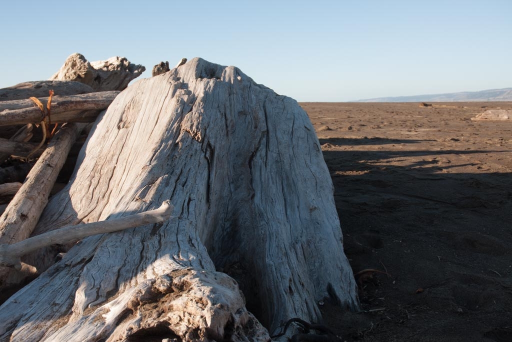 Gualala, California photograph. 
