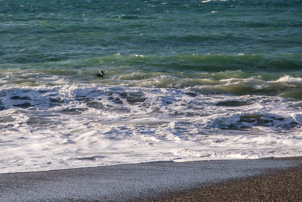 Gualala, California photograph. 