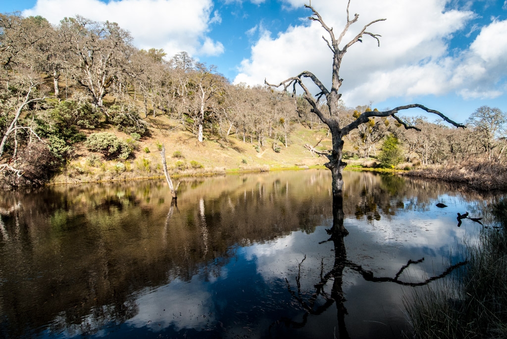 Henry Coe State Park, California photograph. 