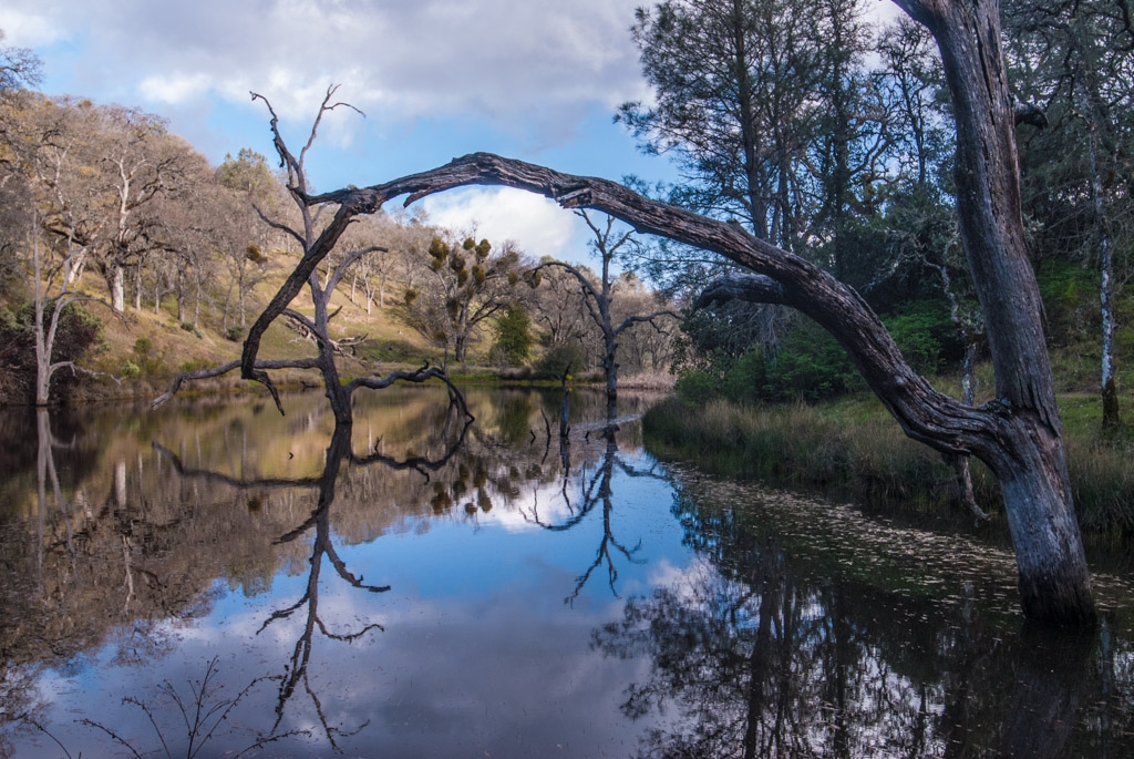 Henry Coe State Park, California photograph. 