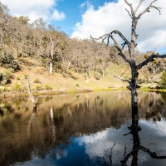 Henry Coe State Park, California