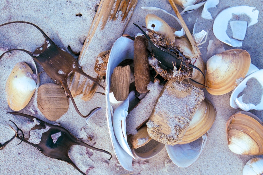 Hull Beach, Massachusetts photograph. 