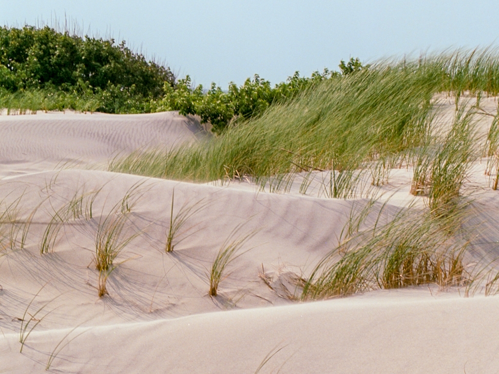 Hull Beach, Massachusetts photograph. 