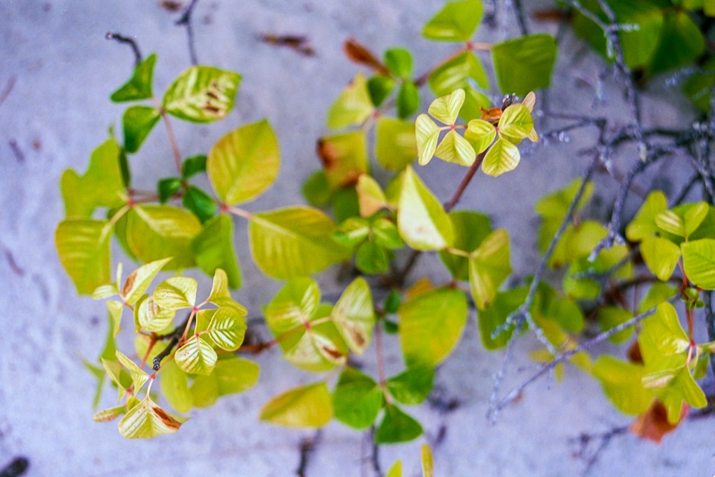 Hull Beach, Massachusetts photograph. 