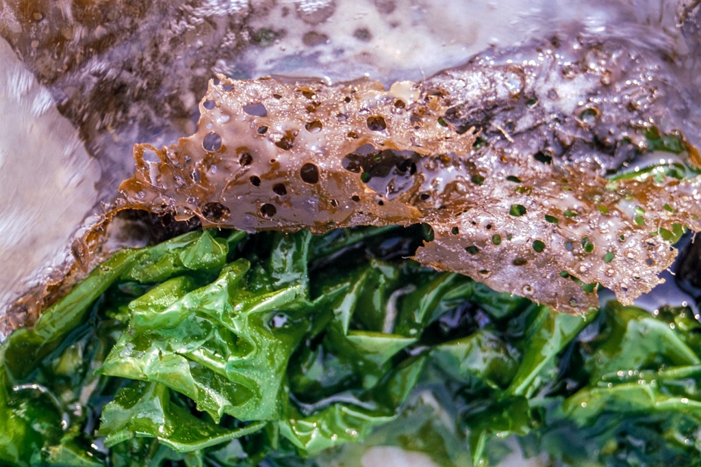 Hull Beach, Massachusetts photograph. 