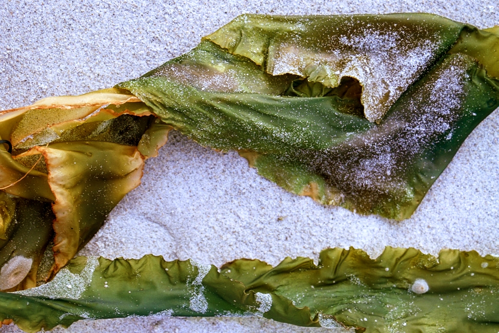 Hull Beach, Massachusetts photograph. 