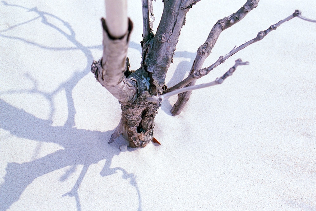 Hull Beach, Massachusetts photograph. 