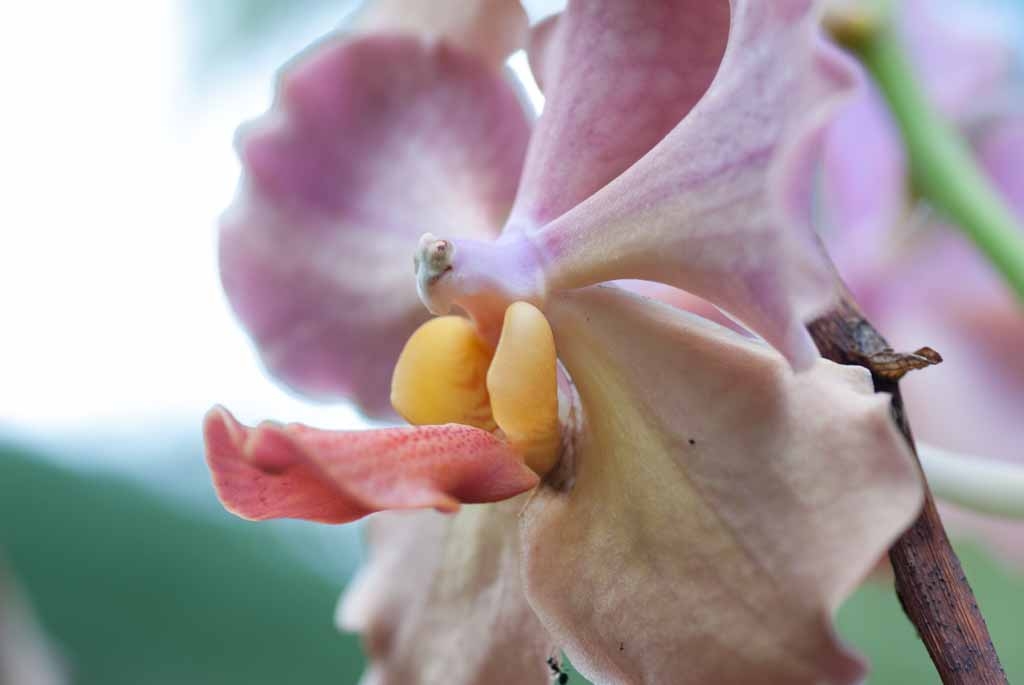 Kauai, Hawaii photograph. Well I have nothing to say here really.