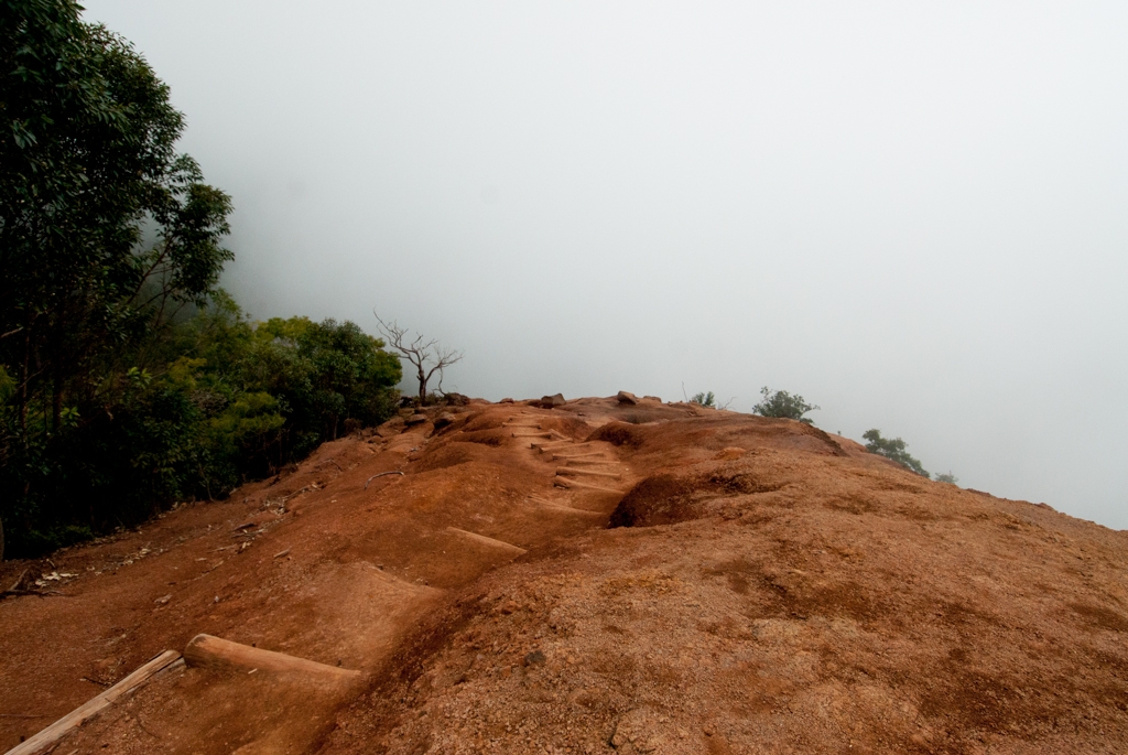 Kauai, Hawaii photograph. The dirt was remarkably orange.